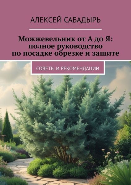 Можжевельник от А до Я: полное руководство по посадке обрезке и защите. Советы и рекомендации