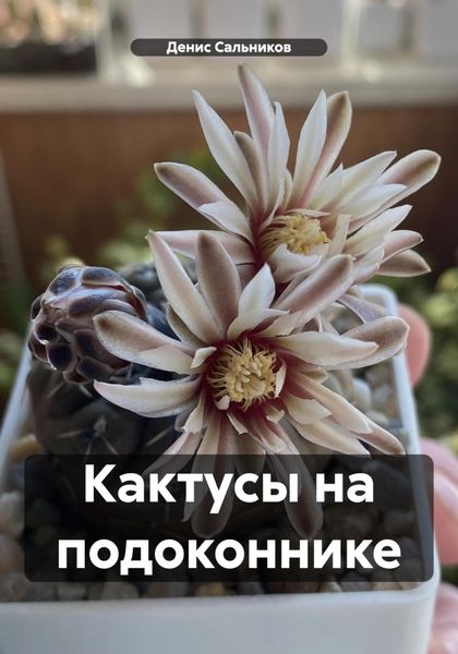 Кактусы на подоконнике