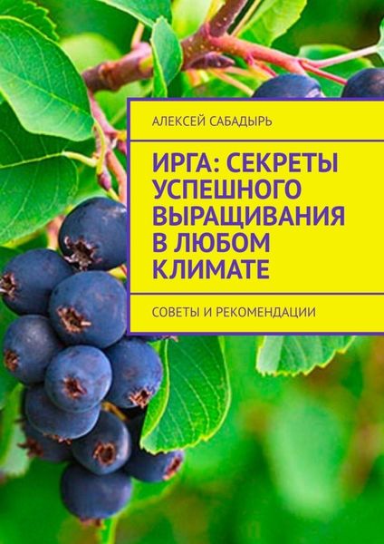 Ирга: Секреты успешного выращивания в любом климате. Советы и рекомендации