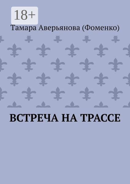 Встреча на трассе