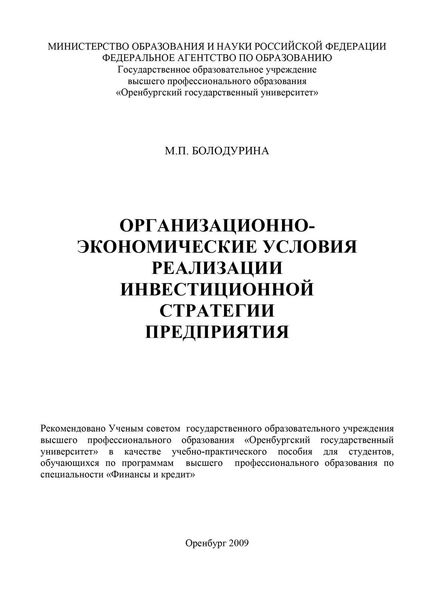Организационно-экономические условия реализации инвестиционной стратегии предприятия
