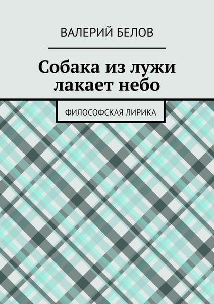 Собака из лужи лакает небо. Философская лирика