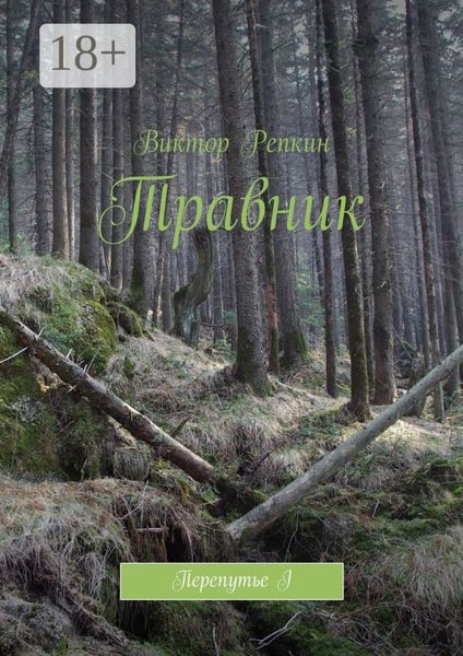 Травник. Перепутье I