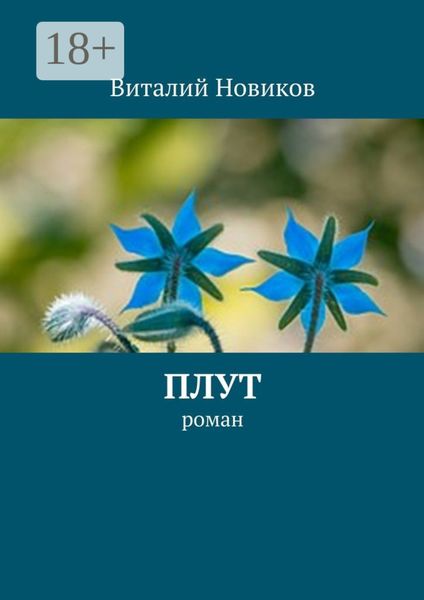 Плут. роман