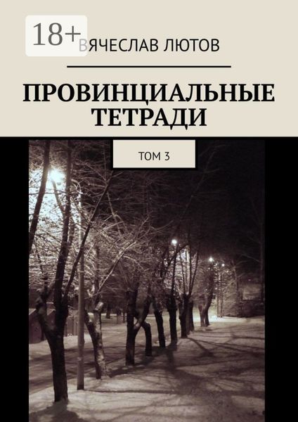 Провинциальные тетради. Том 3