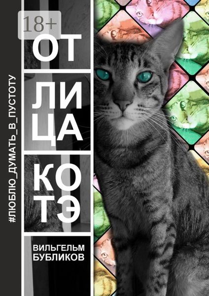 От лица котэ. Поэзия левой задней лапой