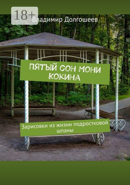 Пятый сон Мони Кокина. Зарисовки из жизни подростковой шпаны